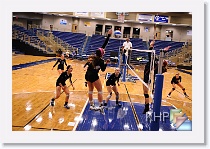 vs Manhattan * (388 Slides)